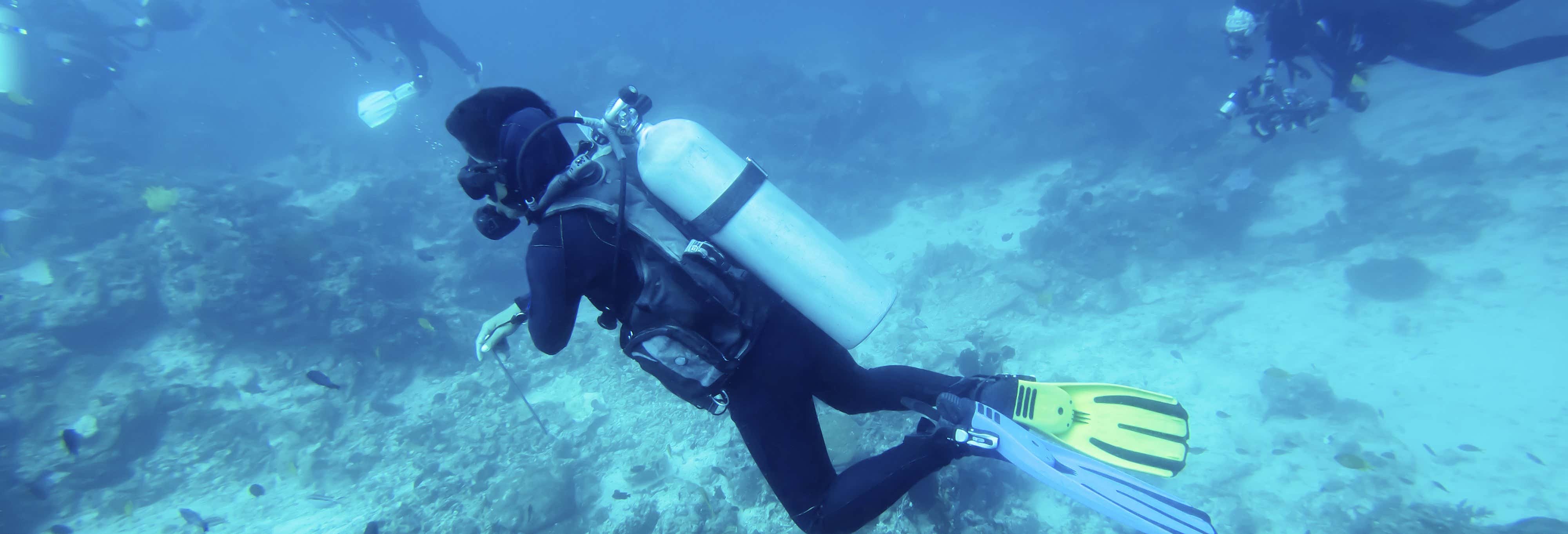 Bautismo de buceo en Bohol