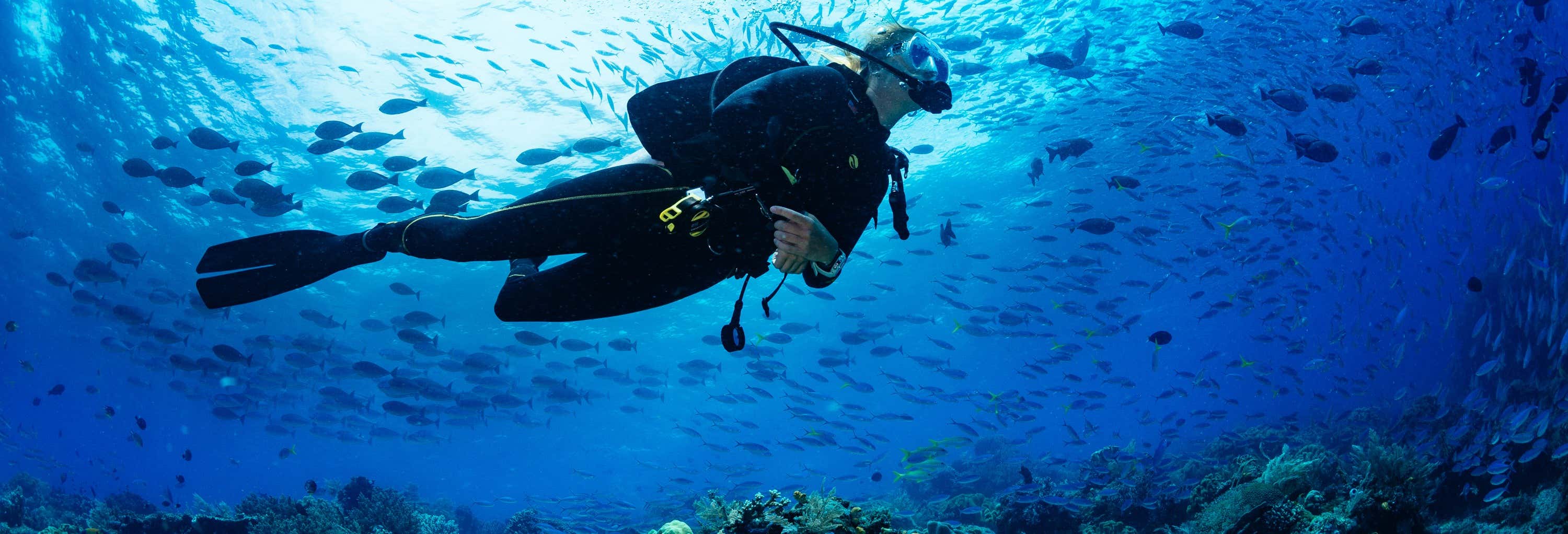 Buceo en los arrecifes de Bohol