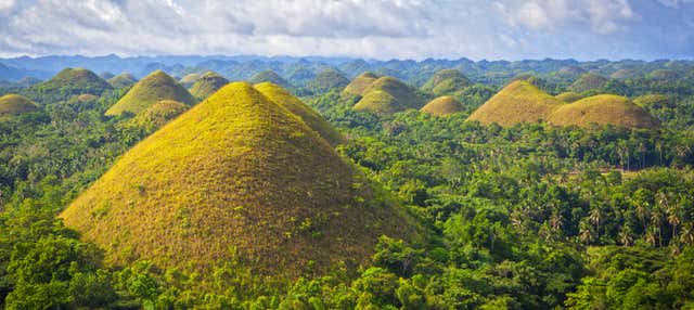 Visita guiada por Bohol