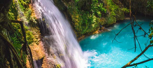 Avvistamiento di squali balena a Oslob + Cascate di Kawasan