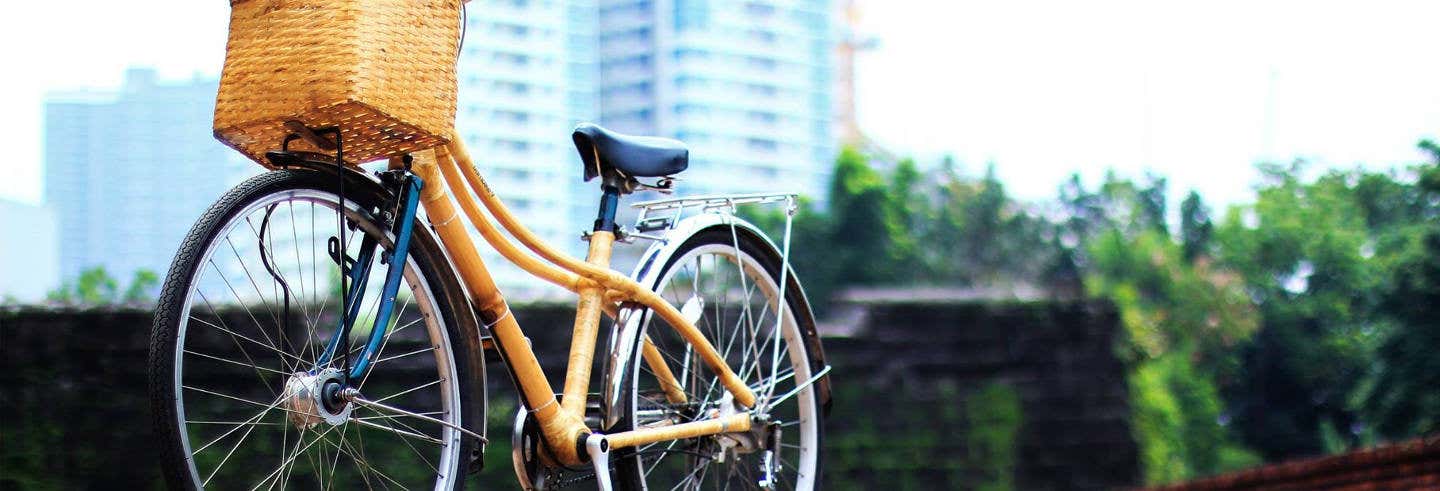 Tour en bicicleta de bambú por el barrio Poblacion