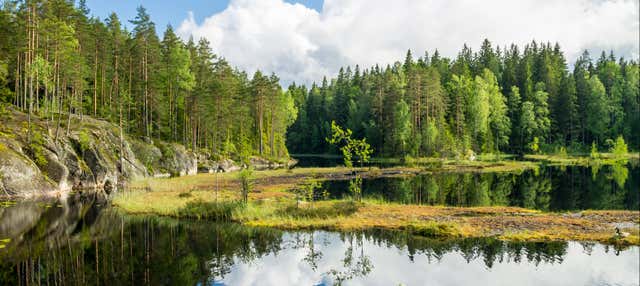 Excursão ao Parque Nacional Nuuksio