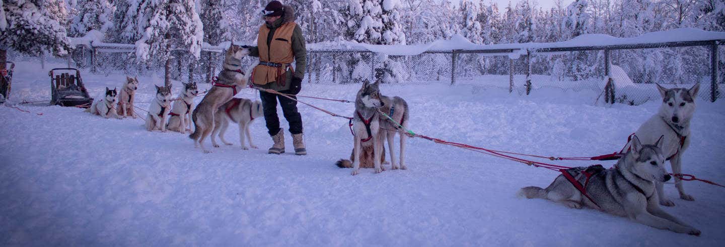 Balade en traineau avec des huskys