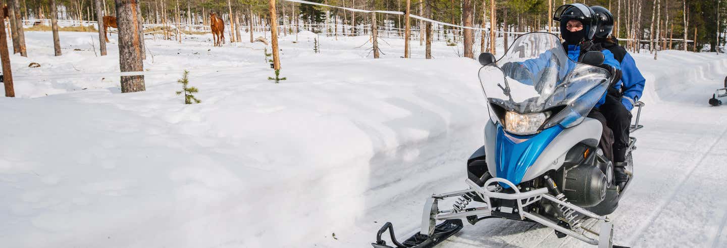 Conducción de trineos de perros husky y motos de nieve