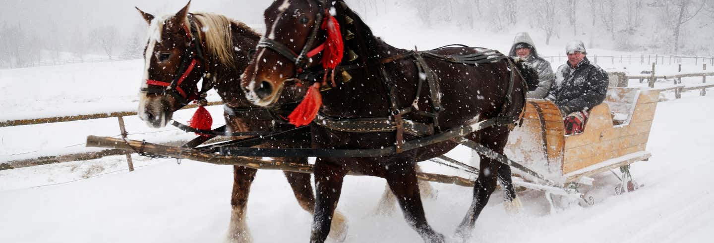 Tour en trineo de caballos