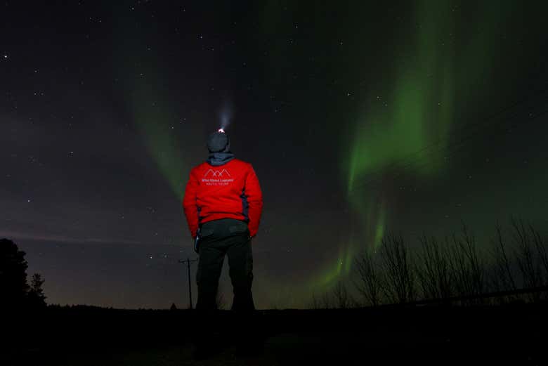 ,Tour de la aurora boreal