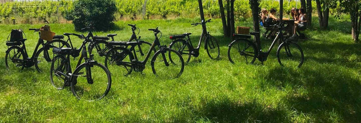 Excursión a Saint Emilion + Tour en bicicleta eléctrica