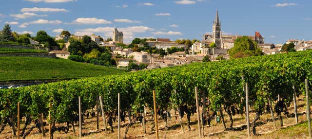 Tour por Saint Emilion y Burdeos