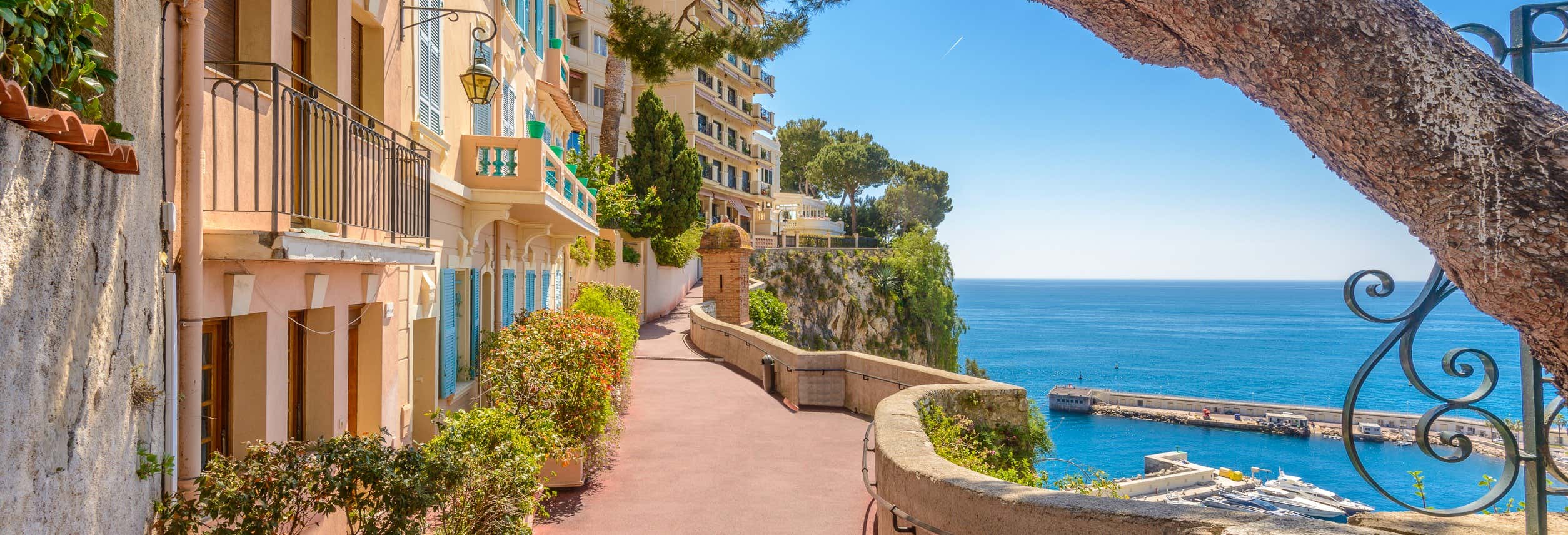 Excursión a Mónaco y Montecarlo para cruceros
