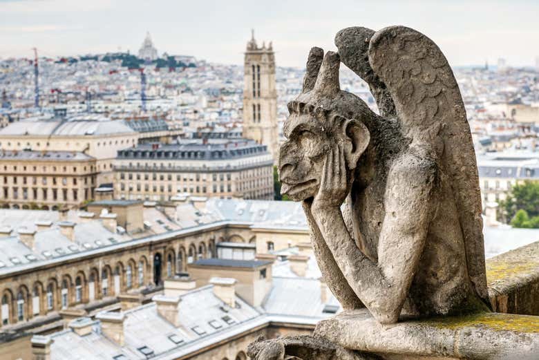 Tour Por La Catedral De Notre Dame Entrada A La Cripta París 6629