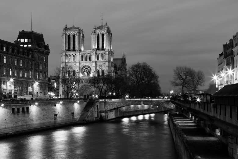 Notre Dame desde el Sena