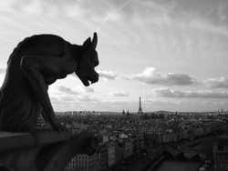 Viste da Notre Dame