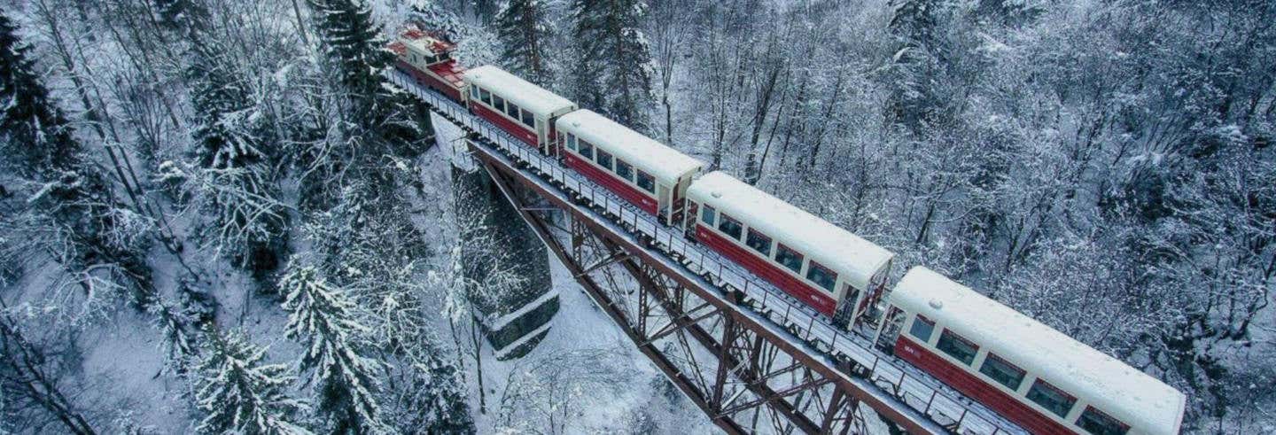Excursión a Borjomi + Bakuriani en el tren Kukushka