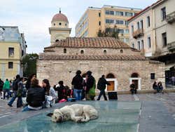 Chien à Monastiraki