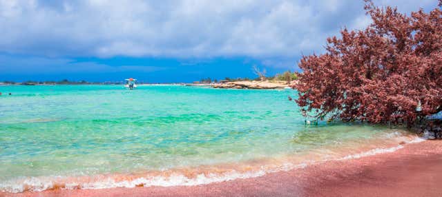 Excursión a playa Elafonisi y Monasterio Chrisoskalitisa