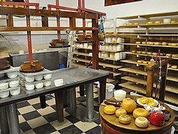 Granja de queso cerca de Volendam