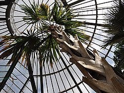 Hortus Botanicus