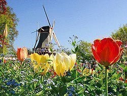 Keukenhof