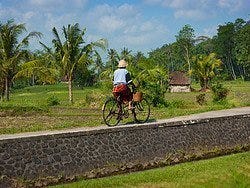 En bici por los arrozales