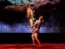 L'arte della thai boxe