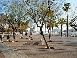 La Barceloneta, Paseo de Juan de Borbón