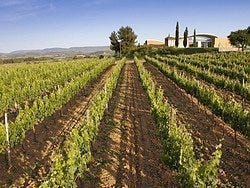 Bodegas Jean Leon