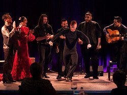 Flamenco en Casa Camarón