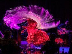 Flamenco en Casa Camarón