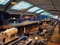 Museo de Ciencias Naturales