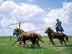 Excursion a la Puszta, espectaculo de caballos