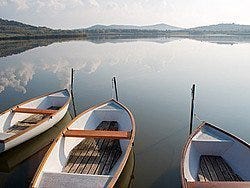 Lago Balaton