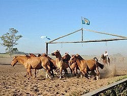 Fiesta Gaucha en la Estancia Santa Susana