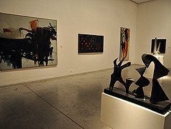 Museo de Arte Moderno de Buenos Aires (MAMBA)