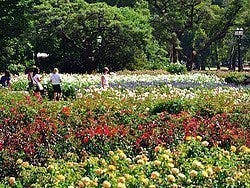 Parque Tres de Febrero, rosaleda