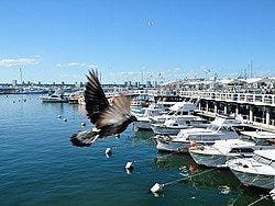 Punta del Este, puerto deportivo