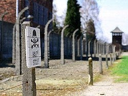 Auschwitz, alambradas