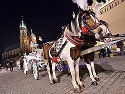 Calesas en la Plaza del Mercado
