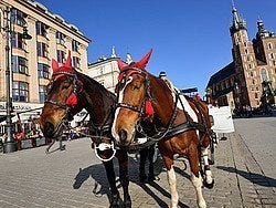 Coches de caballos en la Plaza del Mercado