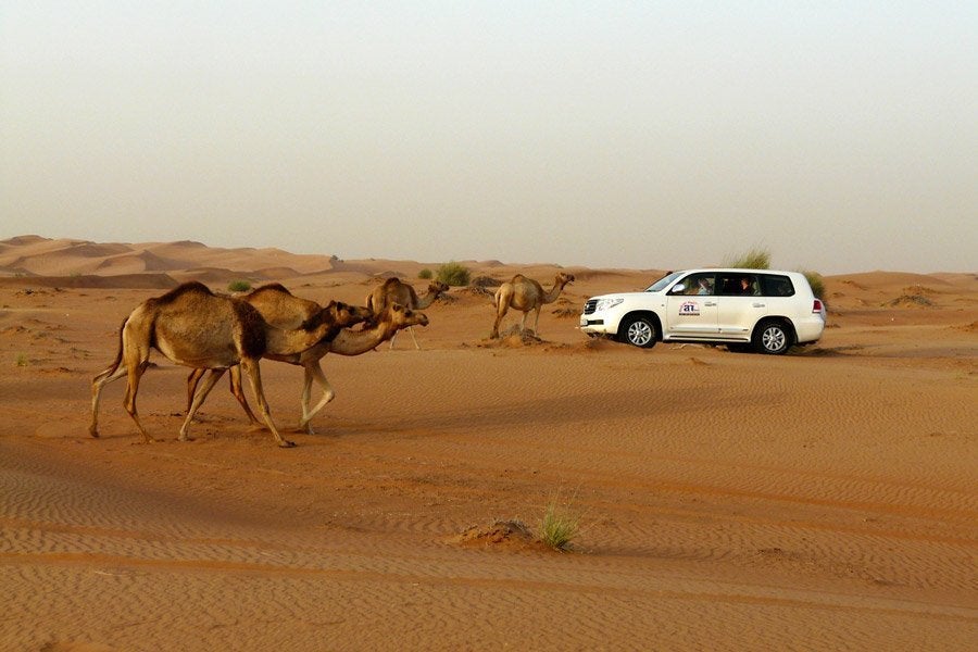 Resultado de imagen de coche blanco de noche en el desierto