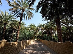 Oasis de Al Ain