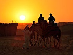 Paseando en camello al atardecer