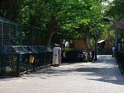 Zoo de Dubái