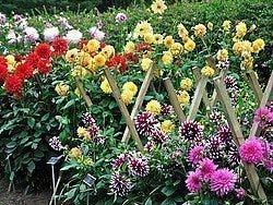 Jardín Botánico Nacional