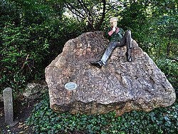 Merrion Square, Oscar Wilde