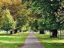 Phoenix Park