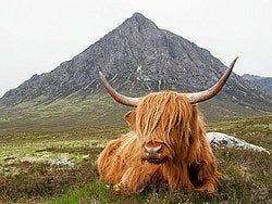 Highlands