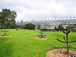 Real Jardin Botanico de Edimburgo