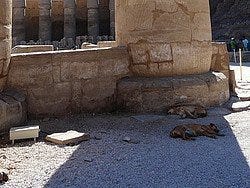 El tiempo en Egipto: Mucho calor