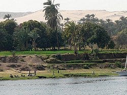 Habitantes Nilo