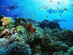 Buceando en Sharm el Sheik
